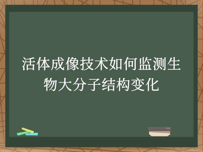 活体成像技术如何监测生物大分子结构变化
